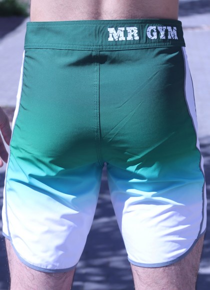 BAÑADORES MEN´S  PHYSIQUE NEW DEGRADE GREEN - FITNESSSTORE