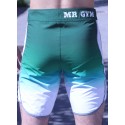 BAÑADORES MEN´S  PHYSIQUE NEW DEGRADE GREEN - FITNESSSTORE