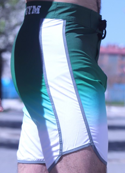 BAÑADORES MEN´S  PHYSIQUE NEW DEGRADE GREEN - FITNESSSTORE