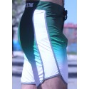 BAÑADORES MEN´S  PHYSIQUE NEW DEGRADE GREEN - FITNESSSTORE