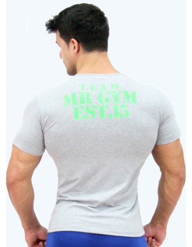 CAMISETA TEAM EST 1.5 GRAY - FITNESSSTORE