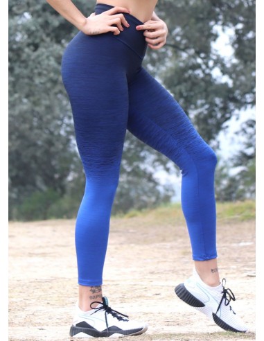 MALLAS FITNESS DEGRADE BLUE- Fitnessstore