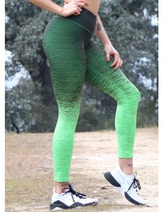 MALLAS FITNESS DEGRADE GREEN  - Fitnessstore 2